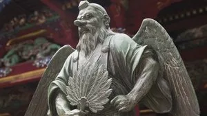 The Birdman Mystery