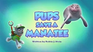 Pups Save a Manatee