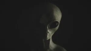 UFO Sightings