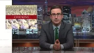 Chickens