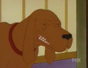Racist Dawg